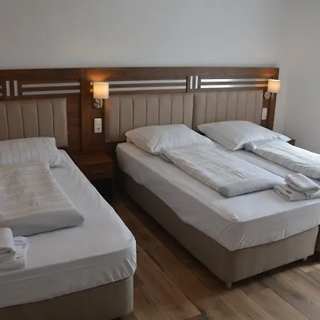 Отель Hotel Colonia